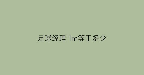 足球经理 1m等于多少